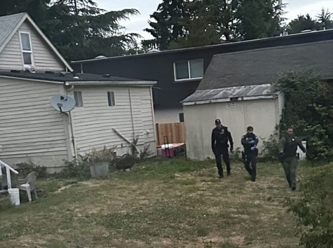 UPDATE: About the police search in Westwood, and beyond