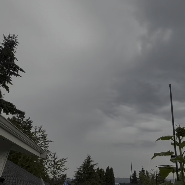 Morning Lightning in July