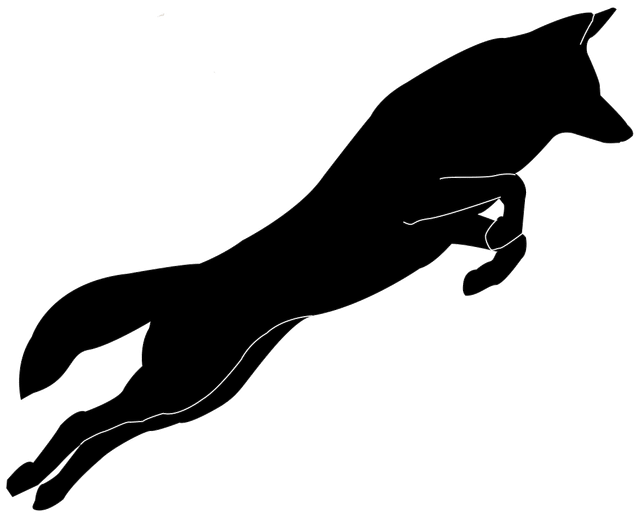 [AMA now] We’re Common Ground Wildlife, ask me anything about coyotes!