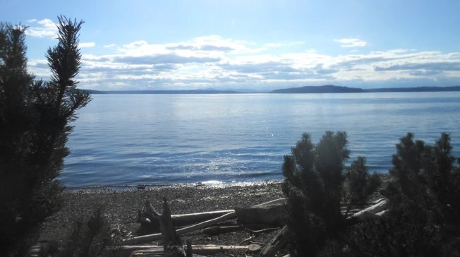 WEST SEATTLE SUNDAY: 26 possibilities!