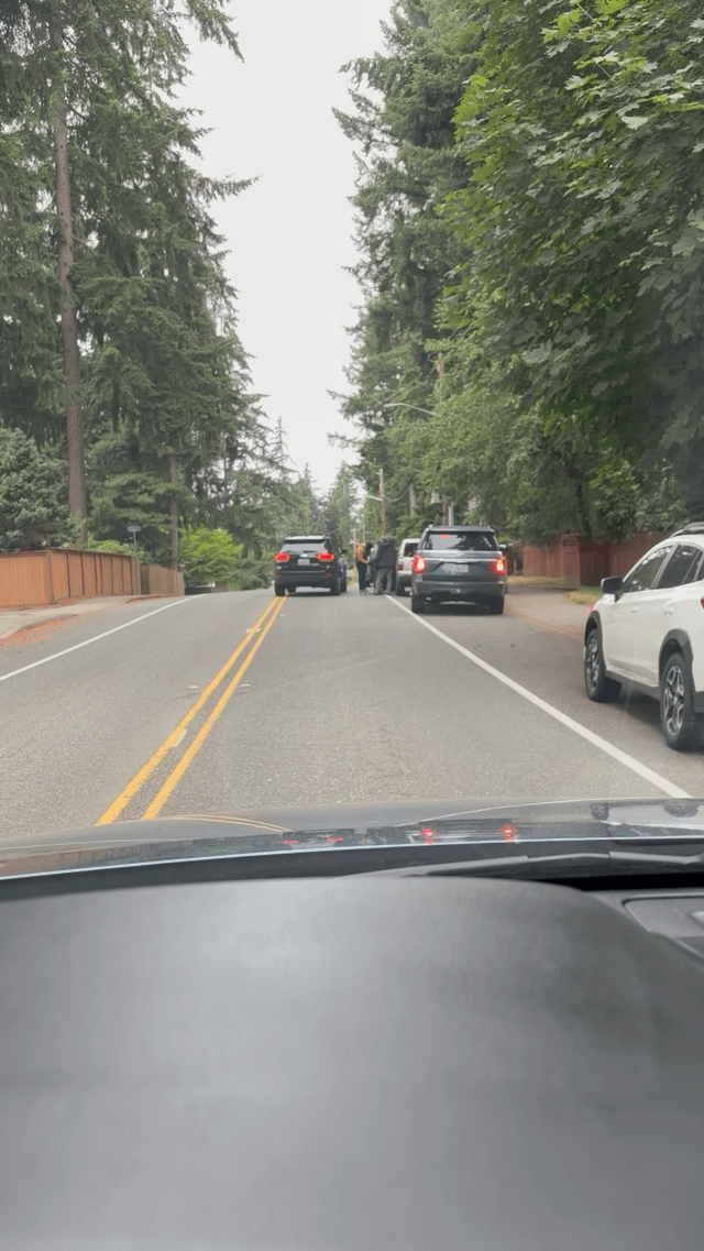 Masked officers taking a Latino man in Kirkland on Independence Day