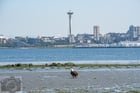 So Seattle