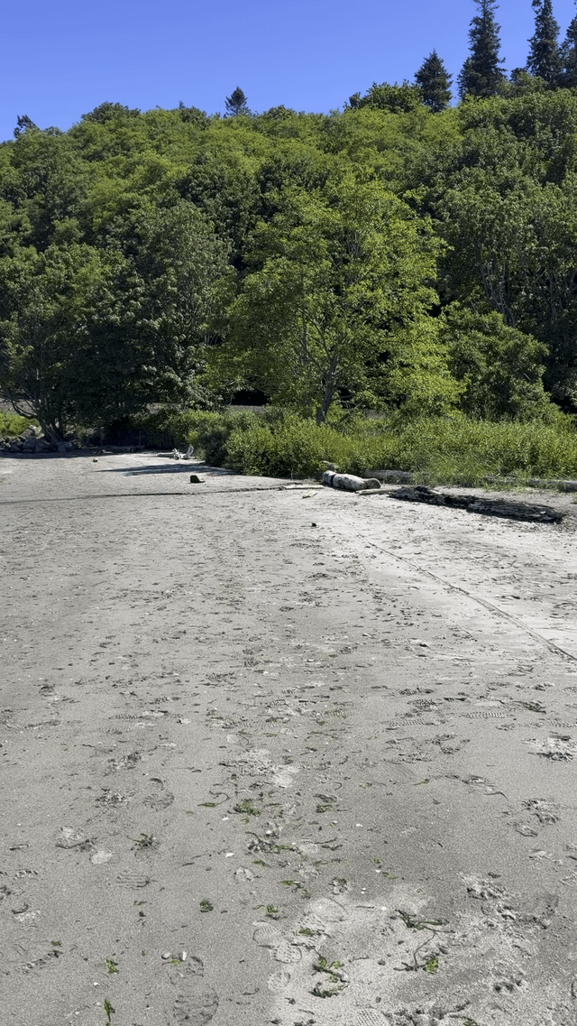 Super duper low tide