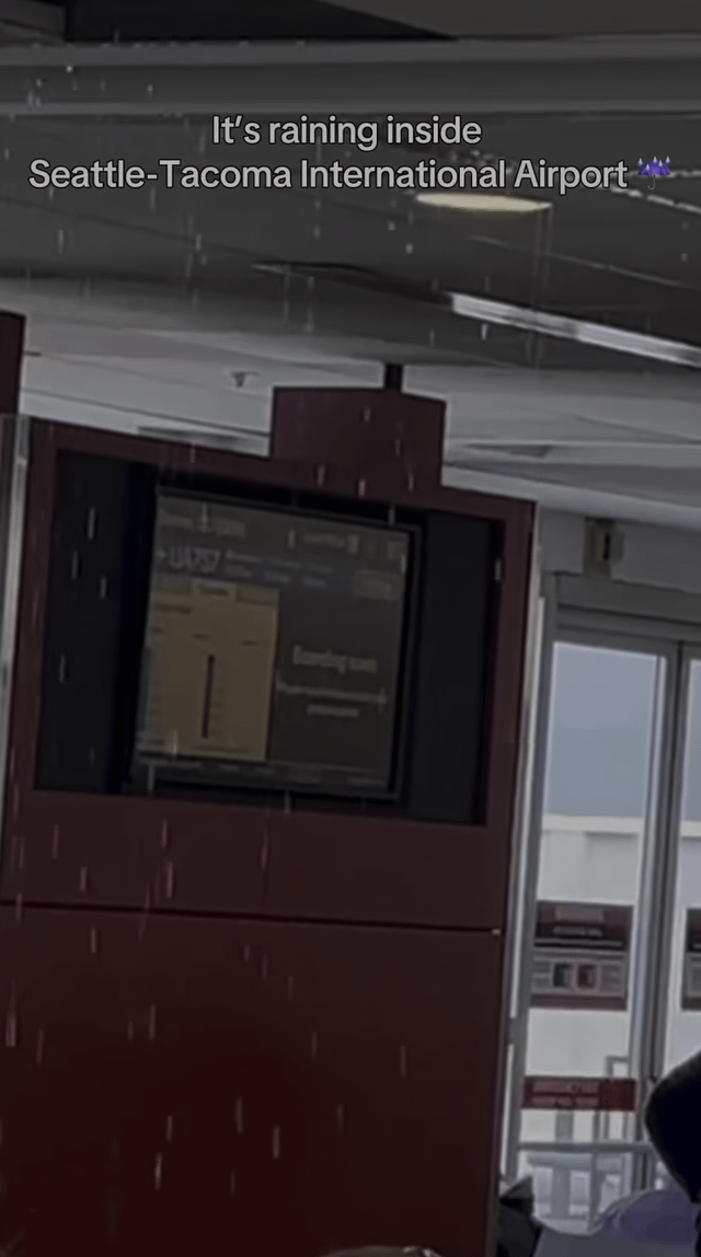 It’s raining inside the SeaTac Airport