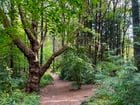 Finally back to urban hiking after a recovering from an MCL injury – thank goodness. Longest 2.5 months ever. Hope everyone is enjoying this beautiful summer Saturday!