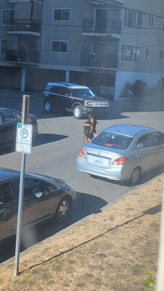 Capitol Hill incident
