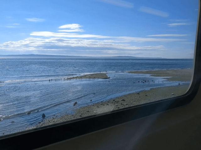Taking the Sounder to Edmonds + a bus to Lynnwood seemed like a better option than adding another hour of Link shuttles to my commute.
