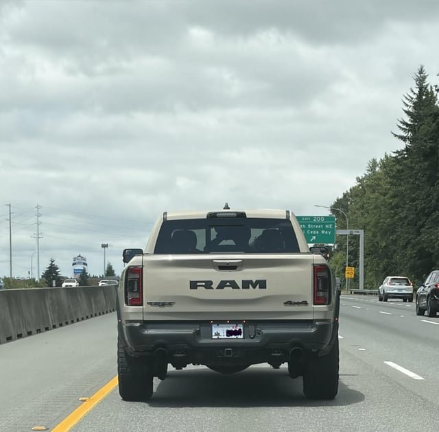 Insanely reckless young driver