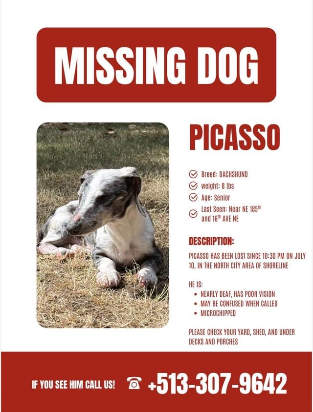 Lost Senior Dog in Shoreline! Please keep an eye out.