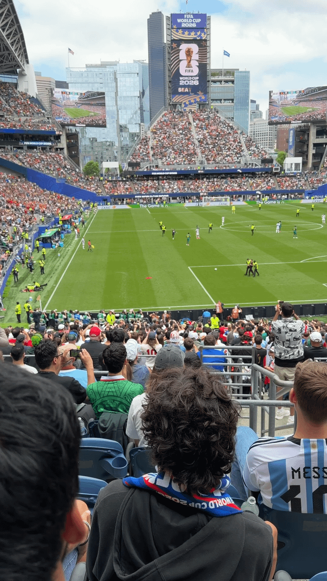 Streakers on the pitch