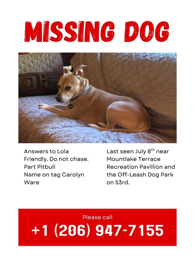 Missing dog in Mountlake Terrace