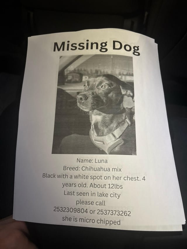 lost dog in lake city