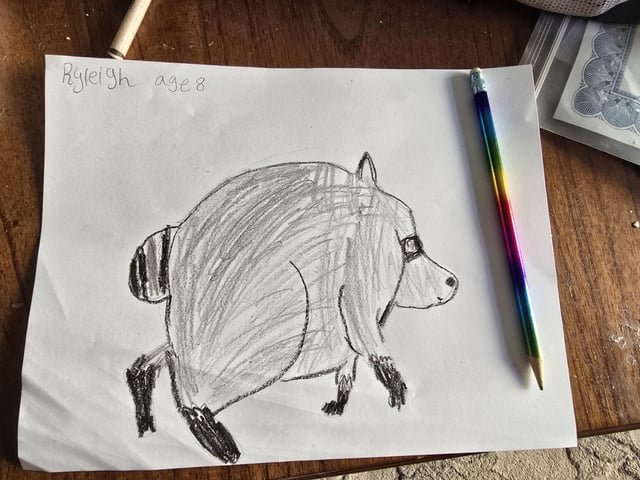 My 8yo’s Jimothy art.