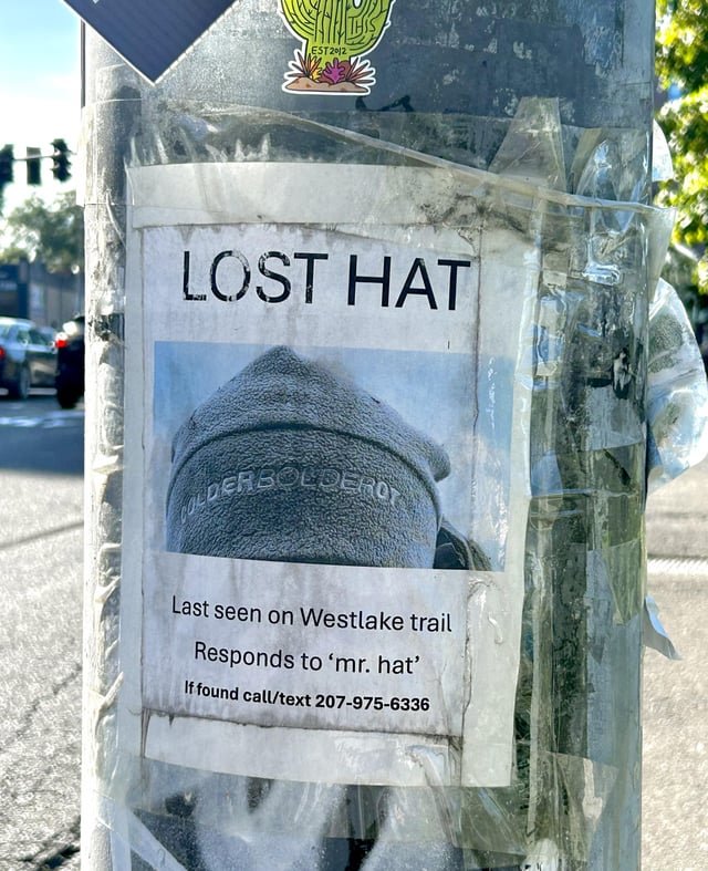 Heartbreaking, hope they find Mr. Hat