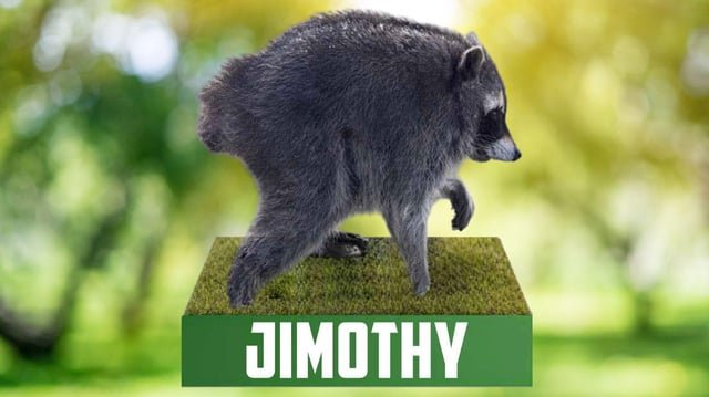Jimothy has been entered into the National Bobblehead Hall of Fame