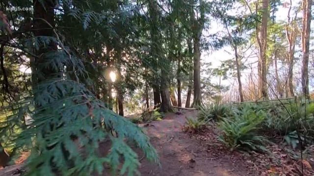 Pedestrian killed by Sounder train near Carkeek Park