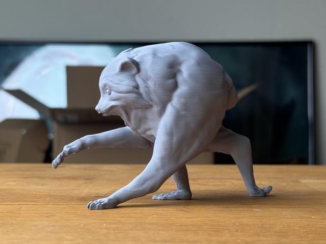 Jimothy at home