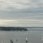 So many sailboats. Is there an event ?