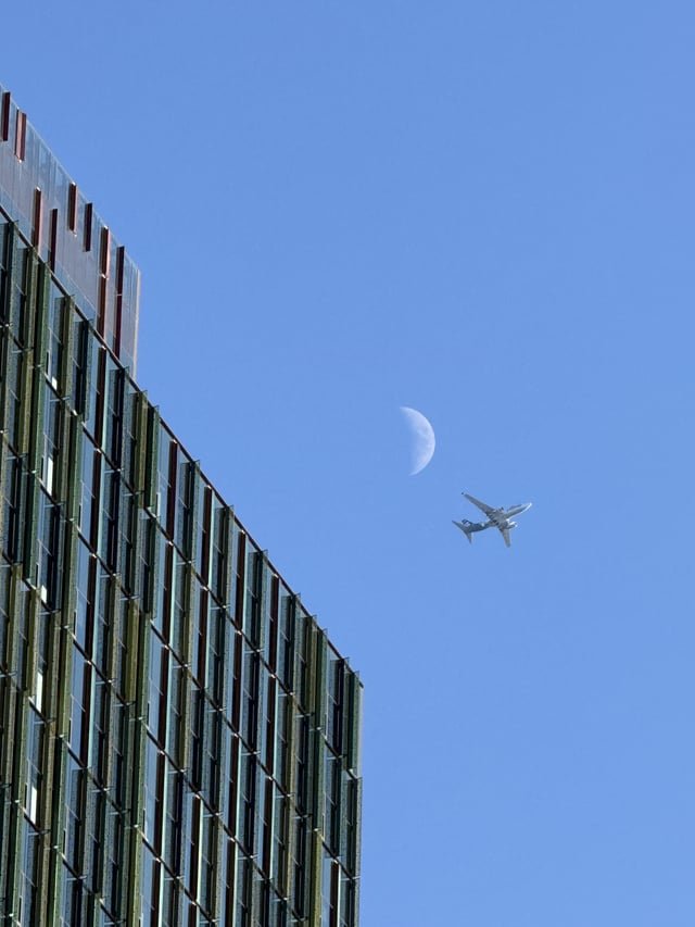 Fly me to the moon 🎶