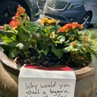 Why would you? 🌿