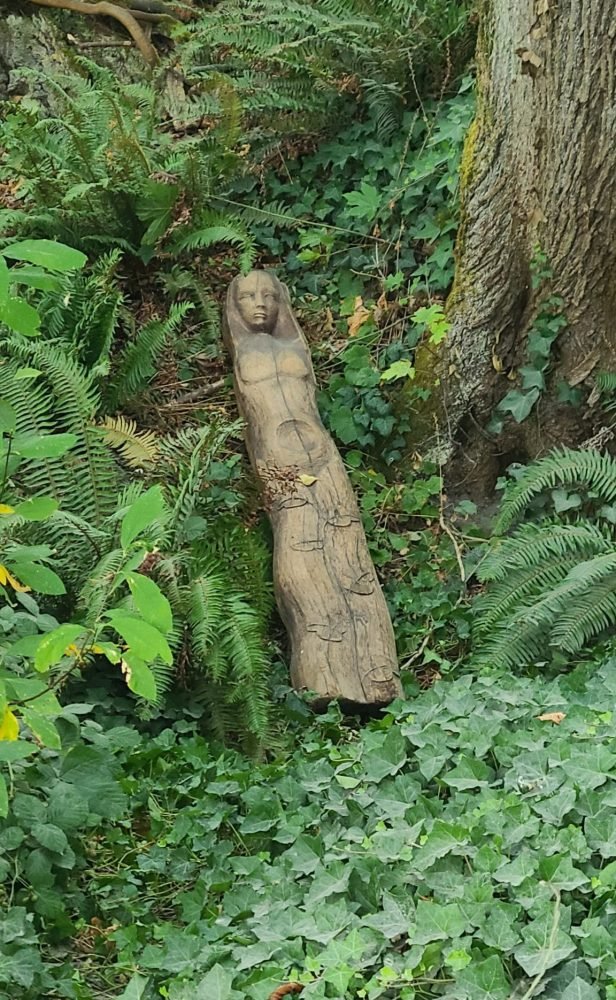 Mystery sighting: Art in the park
