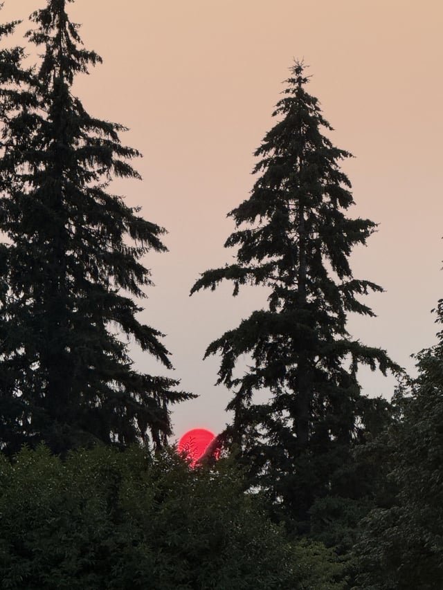 Smoky summer sunset