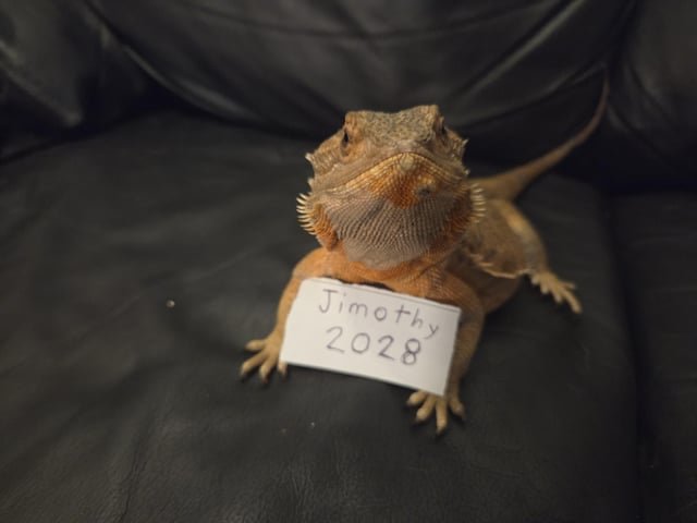 BREAKING NEWS!!! Disco the Discover Park Dragon has officially endorsed Jimothy for President!