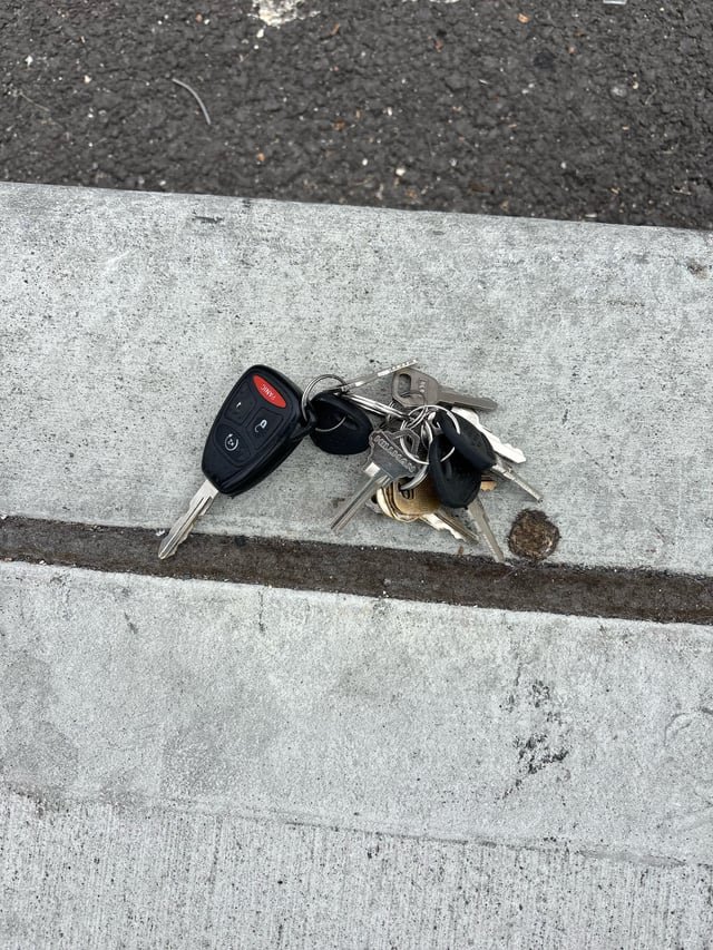 Found keys on Alaskan Way bike lane, by Pier 62