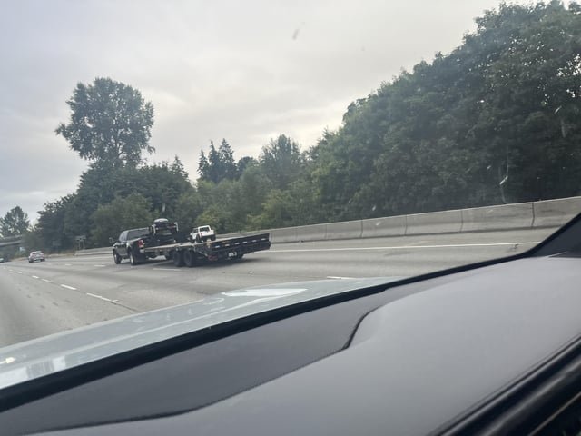What is this, leaving Seattle for ants?