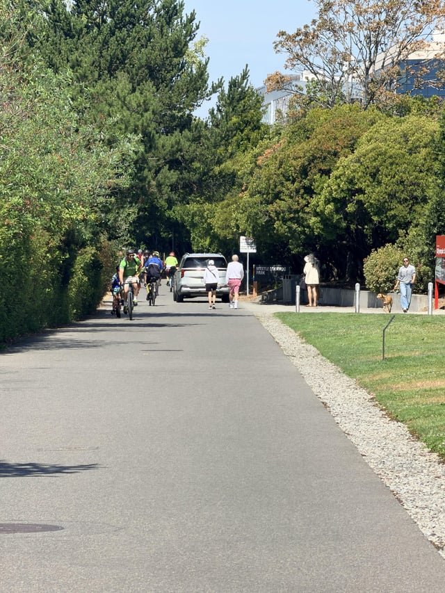 Car driving on the Elliott bay trail north of the Olympic sculpture garden