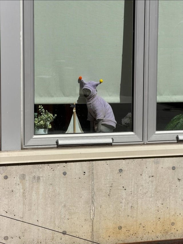 PLEASE – who is this??
