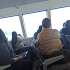 My dramatic photo from the ferry of the incredible pod of orcas we passed this morning.
