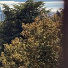 First time climbing up the Water Tower at Volunteer Park