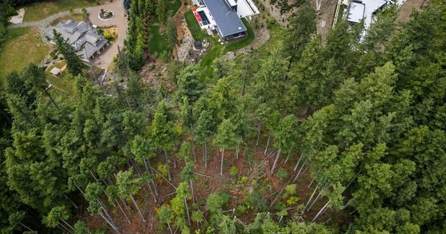 Real estate agent who cut King County trees sells house for $6 million