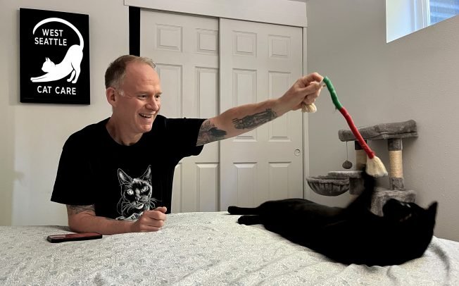West Seattle Cat Care: Welcome, new WSB sponsor!