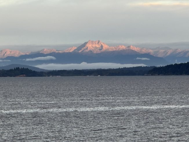 Morbidly Curious Book Club, Grief Is Crafty, Dusty Thursdays, more on our West Seattle list for today/tonight