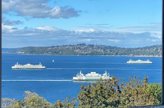Plant Bingo, single release, mural unveiling, more for August’s final West Seattle Friday