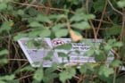 The entitled dog owners of Seattle hit again (Discovery Park this time)