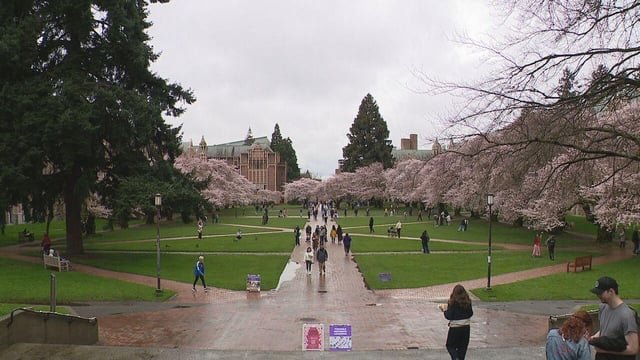 Justice Department sues Washington over in-state tuition and aid for undocumented students