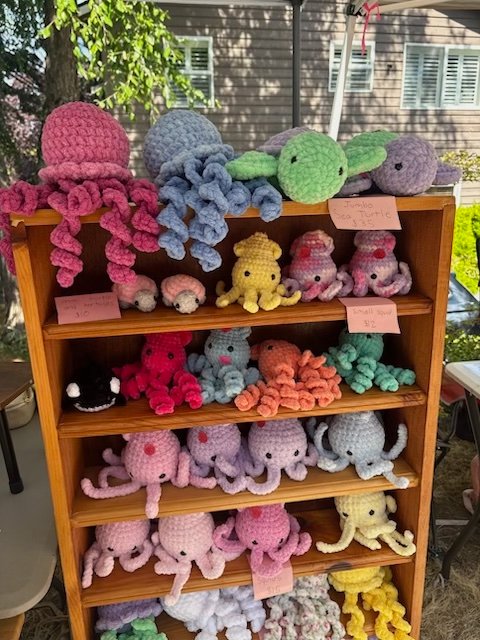 READER REPORT: Another student street-corner sale!