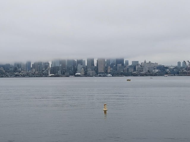 Morning fog