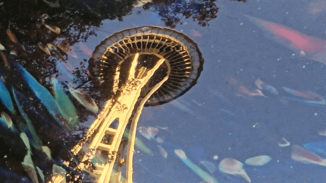Space Needle in Space