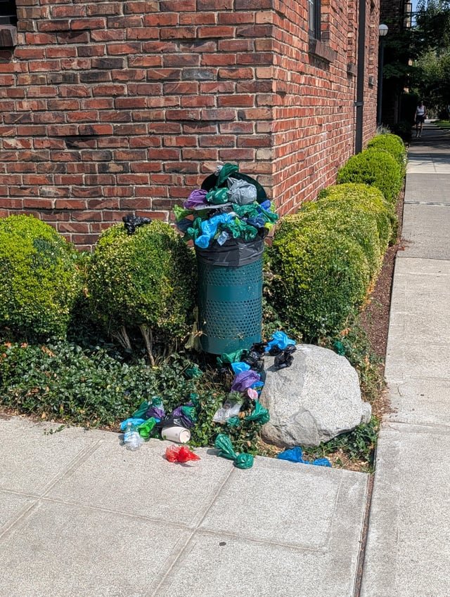 Seattle dog owners suck