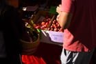 Ballard’s farmers market appreciation