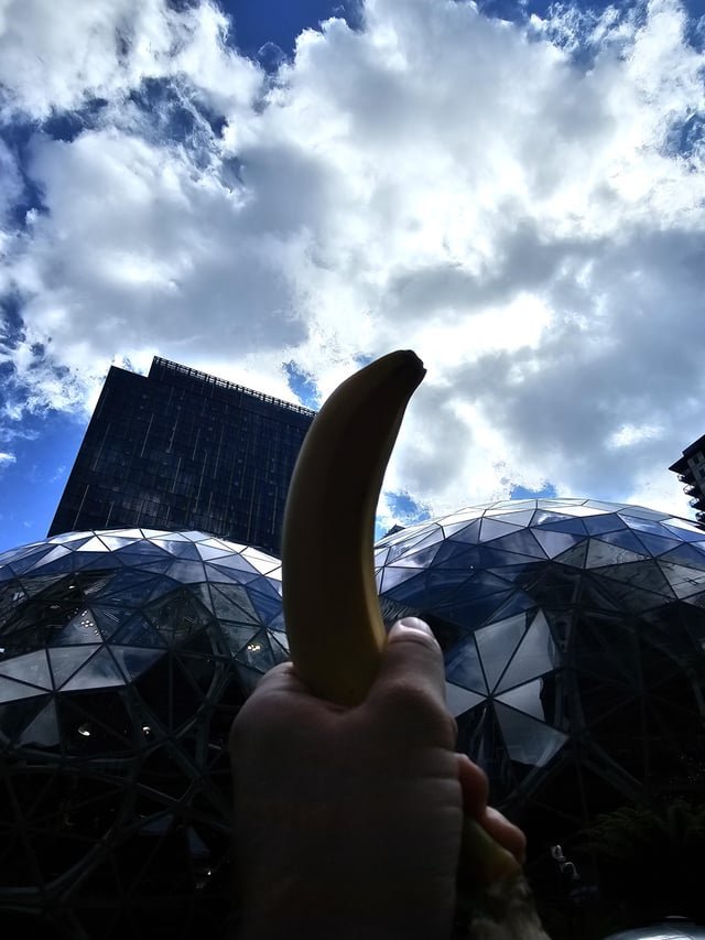 Banana for scale