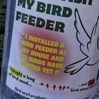 “Are you a bird?” My new favorite poster