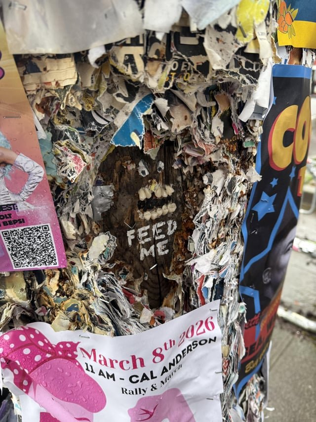 Any of you seen this in Cap Hill?