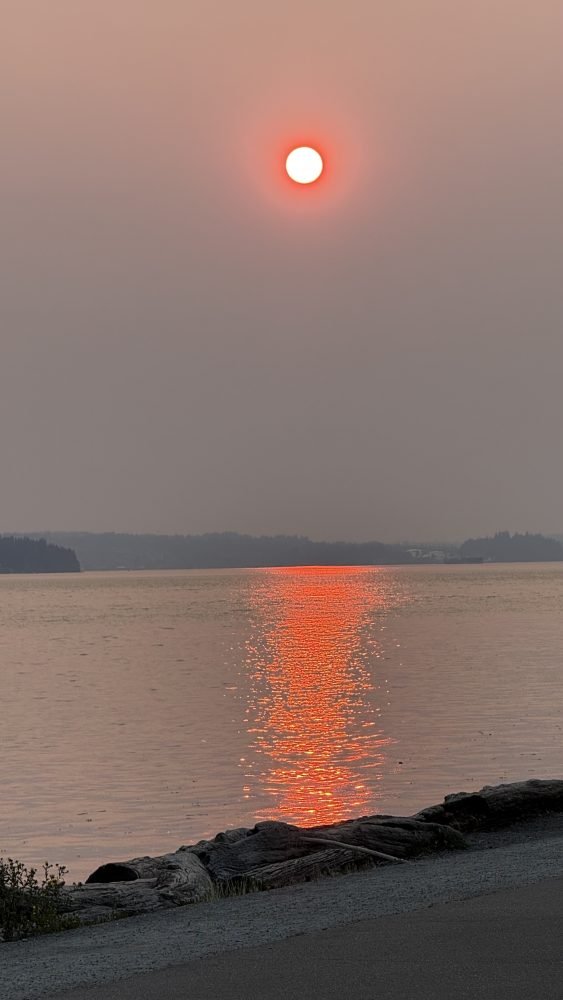 WEST SEATTLE SUNSET: Reason to reflect