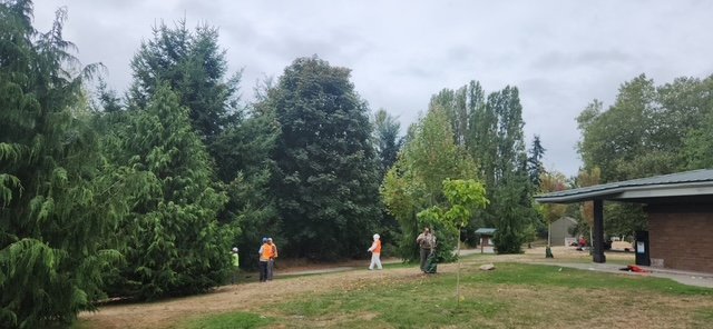 FOLLOWUP: City crews sweeping Roxhill Park encampment