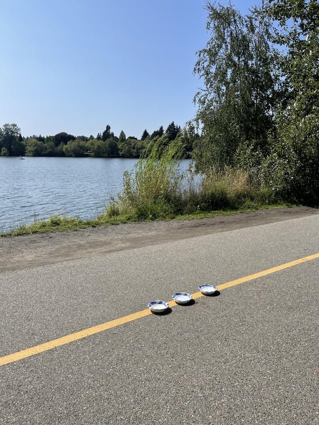 What’s up with the bowls of water at Green Lake?